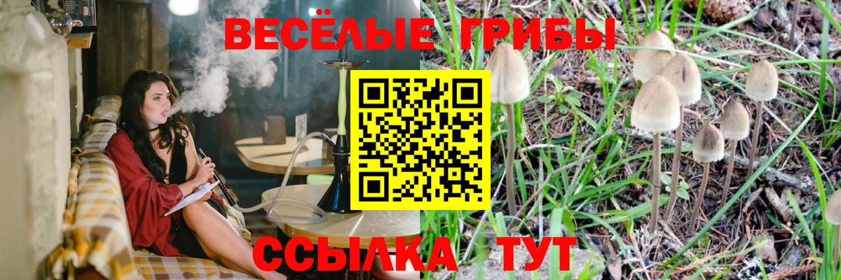 Галлюциногенные грибы прущие грибы  Вход с VPN  Острогожск 